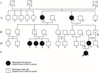 Genetic variants and phenotype analysis in a five-generation Chinese pedigree with PCDH19 female-limited epilepsy